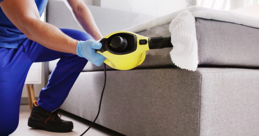 steam cleaning upholstery to kill bed bugs hidden in the sofa seams