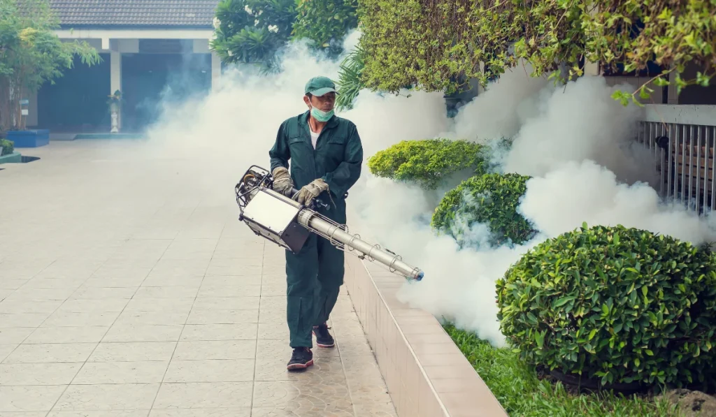 mosquito control fogging