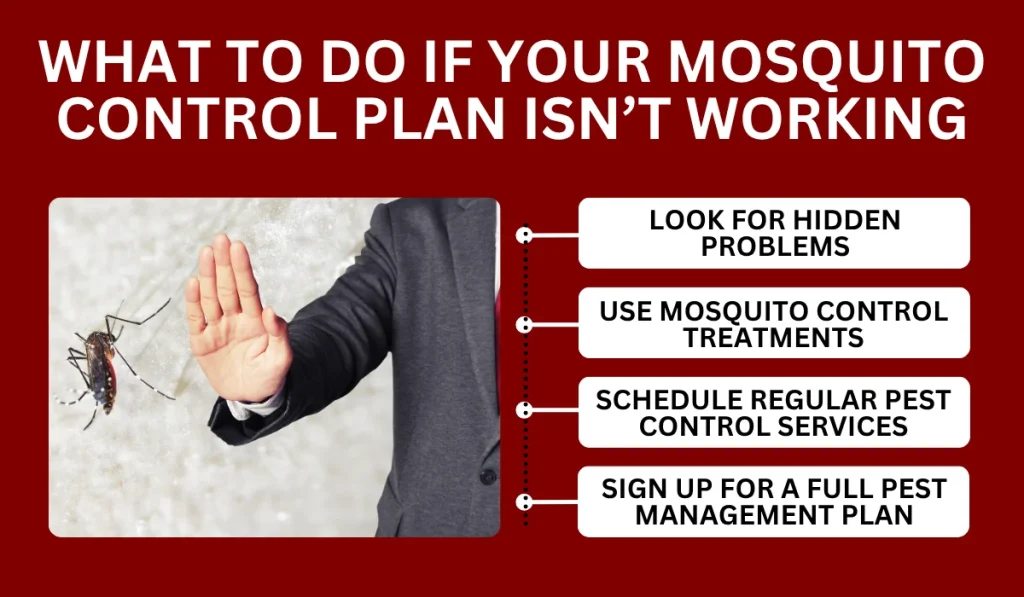 What to Do if Your Mosquito Control Plan Isn’t Working